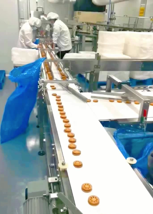 Soontrue automated biscuit packaging line case study