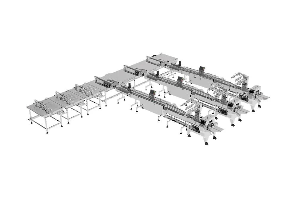 soontrue-automatic-packaging-line-with-deoxidizer